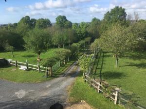 Le Pré aux Daims photo 24