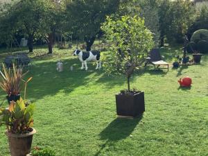 B&B / Chambres d'hotes VILLA CATHY Chambres d hotes : photos des chambres