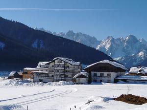 Apartment Haarlem Gosau