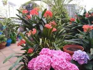 La Casa de Abu - Casita con Encanto