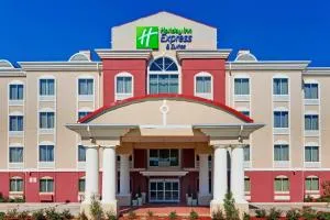 Holiday Inn Express Hotel & Suites Byram by IHG - Cayuga