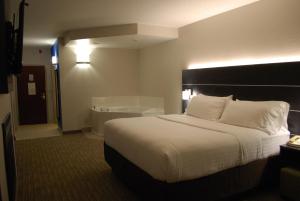 King Room with Spa Bath - Non-Smoking room in Holiday Inn Express Hotel & Suites Kingsport-Meadowview I-26 an IHG Hotel