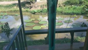 D&Dโฮม@เขาค้อ