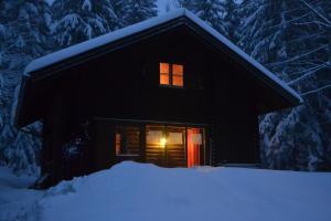 Ferienhütte Hochalm