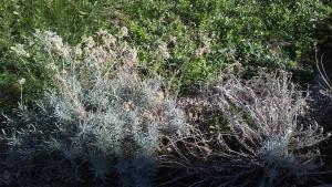 Apartments Mila & Miro