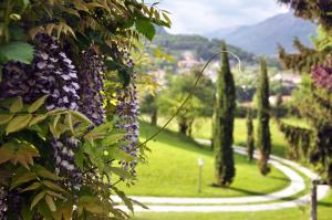Casa vacanze Il Noce