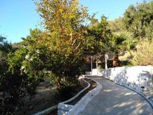 House with beautiful garden in Plomari Lesvos Greece