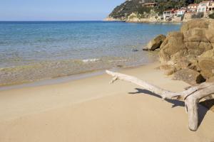 Un Nido sul Mare - Goelba