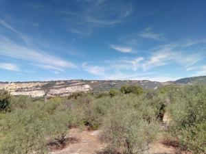 Residence degli ulivi img14