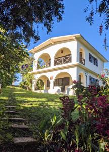 Lime Tree Farm, Blue Mountains