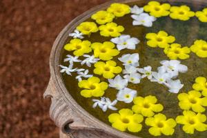 Villa Atulya at Oceans edge