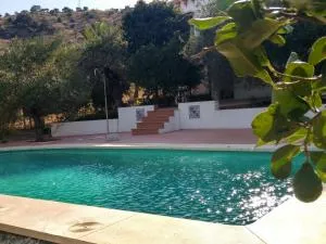 El olivar de Concha, Caminito del Rey - Bermejo