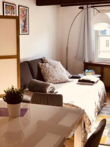 Le petit Colmarien hyper-centre