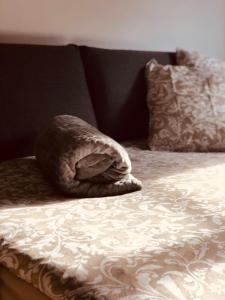 Le petit Colmarien hyper-centre