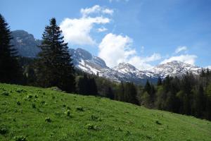 Appartements Residence Croix Margot : photos des chambres