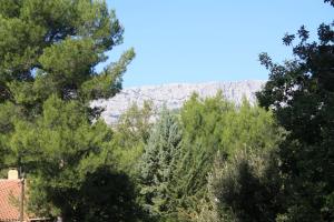 Appartements Rez-de-jardin avec vue sur la Sainte Victoire : photos des chambres