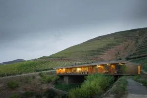 Casa do Rio - Douro Wine Hotel by Vallado - 福什科阿新镇