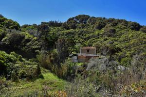 Patouni sea cottage Skopelos Greece