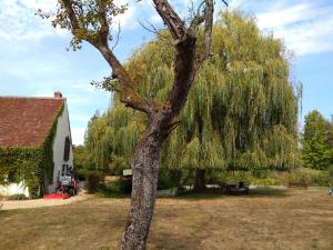 Sejours chez l'habitant Domaine de la Richardelle : photos des chambres