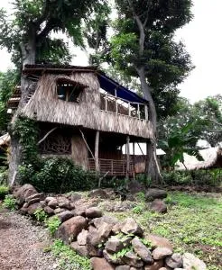 El Bamboo Cabins - Las Labores