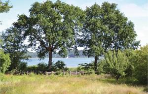 Three-Bedroom Holiday Home In Jagerspris