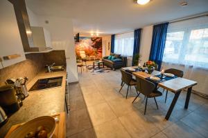 Apartmán Ola´s Apartments Dahn Německo