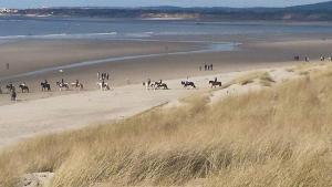 Maisons de vacances SEA-YOU Etaples-Le Touquet : photos des chambres