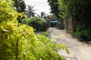 Local Beach Phu Quoc