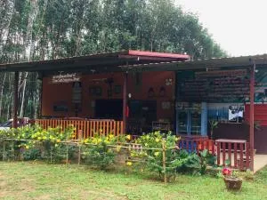 拷索埃弗格林假日公园 - 考索