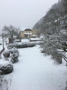 Ferienhaus Elbufer 83