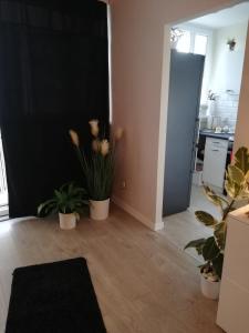 Kawalerka - Jelenia Gora, dziel. Zabobrze