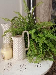 Guest House 73 img46