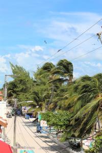 Barefoot Caye Caulker Hotel