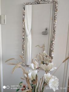 ZUM WOHLFÜHLEN FERIENWOHNUNG FÜR MAX 5 ERWACHSENE und 1 Kind, Schwimmbad vor der Tür, Tiere erlaubt