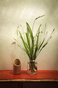 Villa 3 - High End Studio Apartment with kitchen, Playa Chiquita