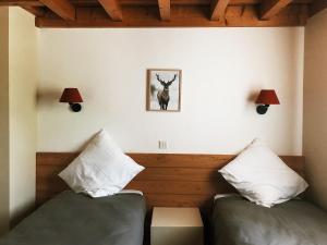 Les chalets d'Arrens : photos des chambres