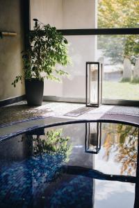 Les chalets d'Arrens : photos des chambres