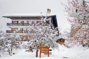 Appartements Coeur des Alpes : photos des chambres