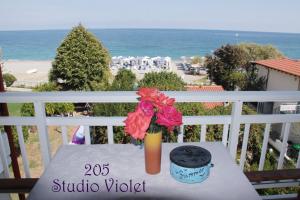 Fasoli Studios Pieria Greece