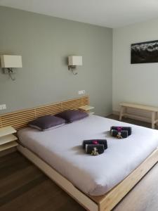 Hotels Auberge des isards : photos des chambres