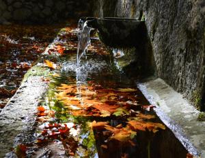 Lakmos Tzoumerka Greece