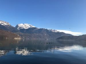 Maisons de vacances La Maison du Port, une exclusivite LLA Selections by Location Lac Annecy : photos des chambres