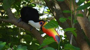 Pousada Canto da Lua