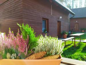 Chaty ve Ski-relax Avalanche Dolní Moravice