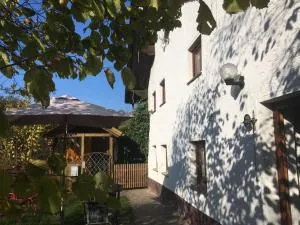 Burgruine Schöllnstein - Winzer