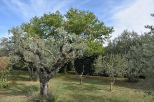 Maisons de vacances Aux Reves des Mees : photos des chambres