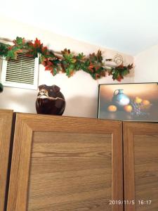 Смарт квартира - студия в центре