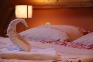 Residence City center