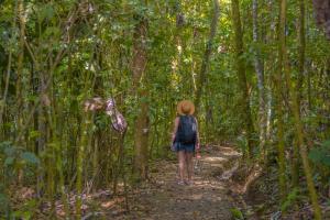 La Tigra Rainforest Lodge