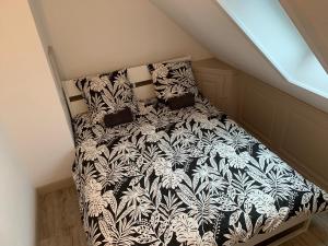 Appartements Historical town center spacious flat : photos des chambres